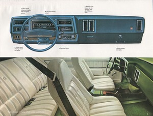 1976 Chevrolet Chevelle (Cdn)-05.jpg